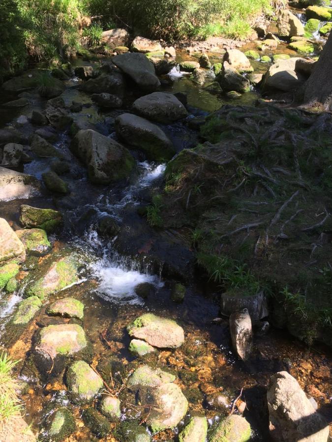 博维尔特布劳恩拉格公寓 外观 照片